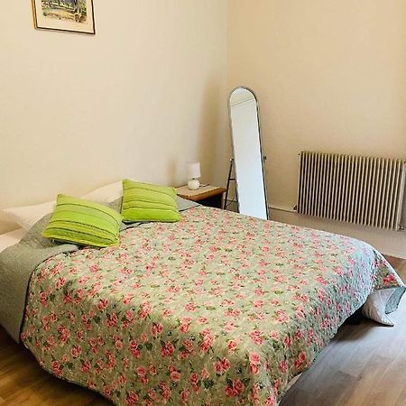 Appartement Cosy コルマール エクステリア 写真