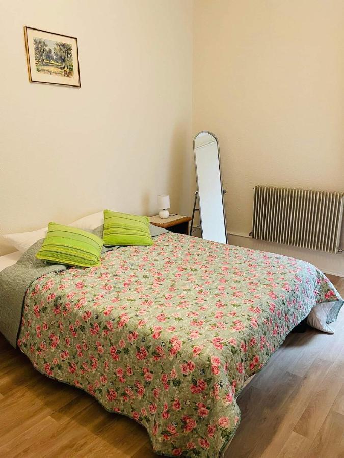 Appartement Cosy コルマール エクステリア 写真